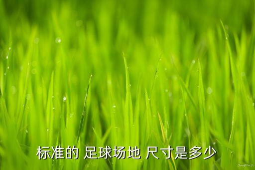 標(biāo)準(zhǔn)的 足球場地 尺寸是多少