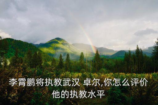 李霄鵬將執(zhí)教武漢 卓爾,你怎么評價他的執(zhí)教水平