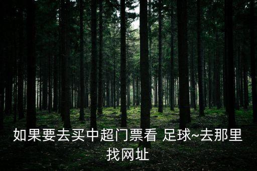 如果要去買(mǎi)中超門(mén)票看 足球~去那里找網(wǎng)址