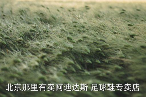 北京那里有賣阿迪達斯 足球鞋專賣店