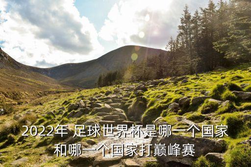 2022年 足球世界杯是哪一個(gè)國(guó)家和哪一個(gè)國(guó)家打巔峰賽