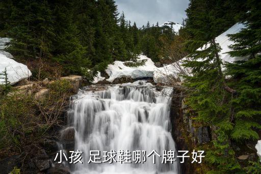 小孩 足球鞋哪個牌子好