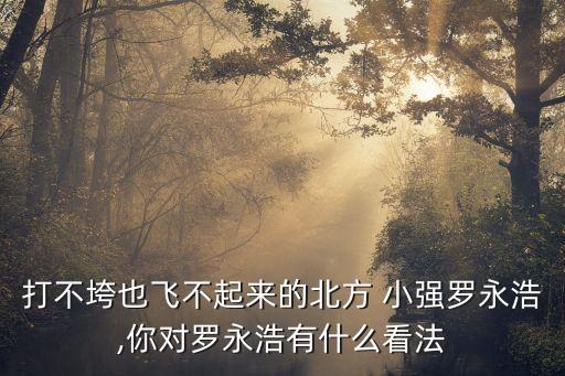 打不垮也飛不起來(lái)的北方 小強(qiáng)羅永浩,你對(duì)羅永浩有什么看法