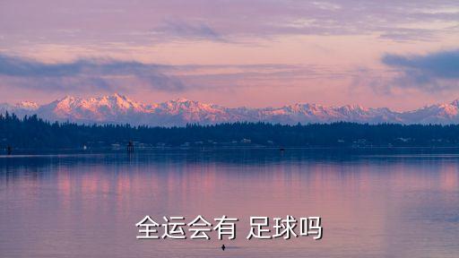 全運(yùn)會有 足球嗎