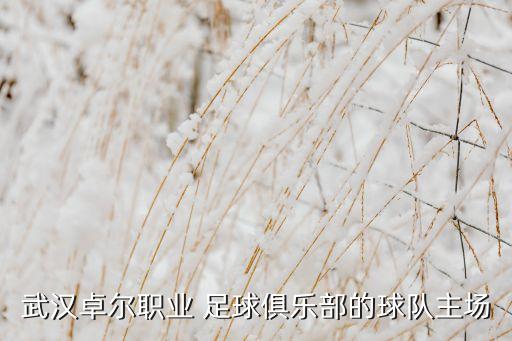 武漢卓爾職業(yè) 足球俱樂部的球隊(duì)主場