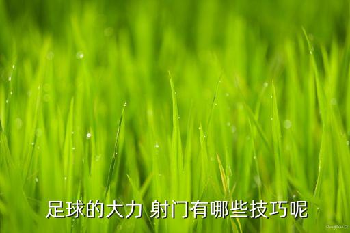  足球的大力 射門(mén)有哪些技巧呢