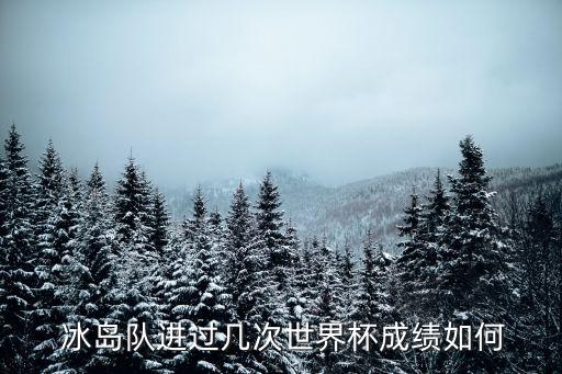  冰島隊進過幾次世界杯成績?nèi)绾? class=