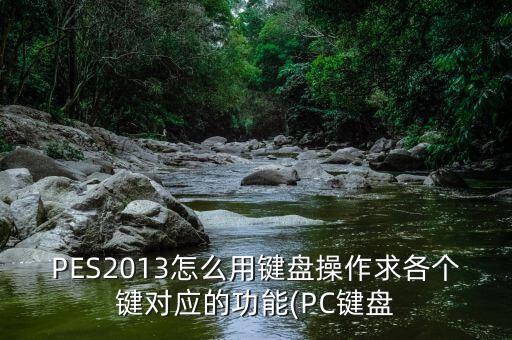 PES2013怎么用鍵盤操作求各個(gè)鍵對(duì)應(yīng)的功能(PC鍵盤