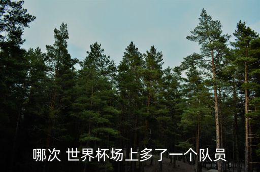 哪次 世界杯場上多了一個(gè)隊(duì)員
