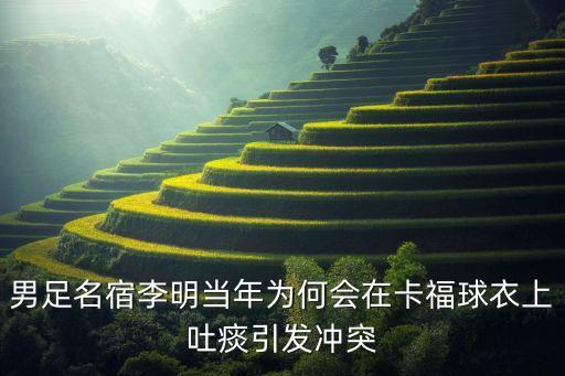 巴西足球和國(guó)足,足球:國(guó)足開(kāi)除,獎(jiǎng)勵(lì)