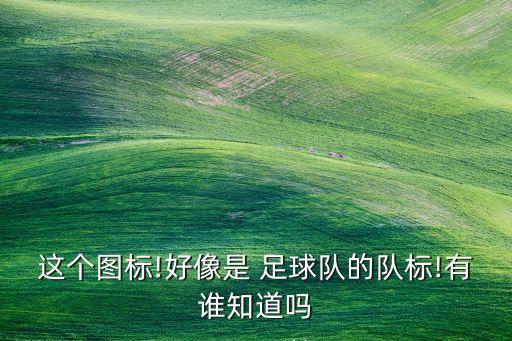 這個圖標!好像是 足球隊的隊標!有誰知道嗎