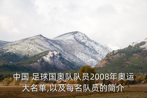 崔鵬足球個(gè)人資料,山東魯能崔鵬個(gè)人資料