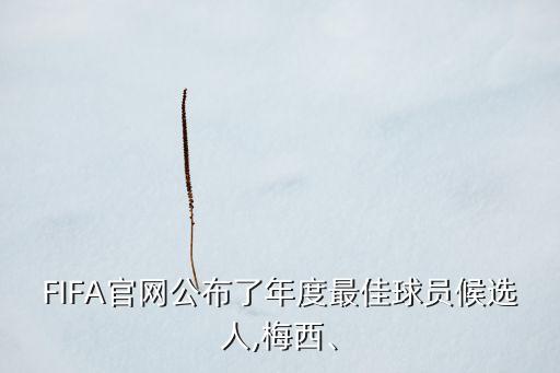 FIFA官網(wǎng)公布了年度最佳球員候選人,梅西、