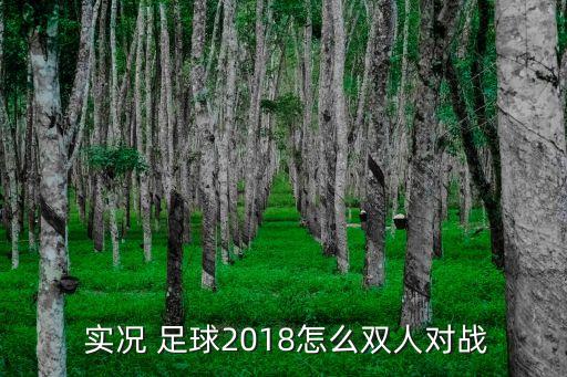 實況足球2018pc版