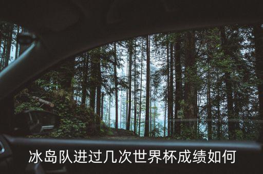  冰島隊進過幾次世界杯成績?nèi)绾? class=