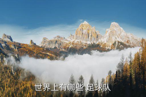 世界上有哪些 足球隊(duì)