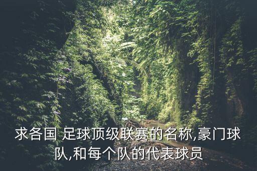 求各國(guó) 足球頂級(jí)聯(lián)賽的名稱,豪門球隊(duì),和每個(gè)隊(duì)的代表球員
