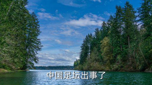 中國(guó)足壇出事了