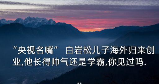 “央視名嘴” 白巖松兒子海外歸來創(chuàng)業(yè),他長得帥氣還是學(xué)霸,你見過嗎...