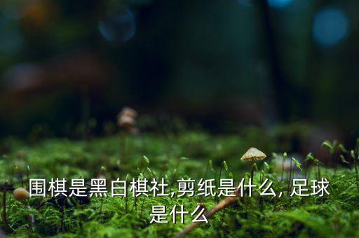 關(guān)于足球的知識(shí)點(diǎn),足球有哪些知識(shí)點(diǎn)