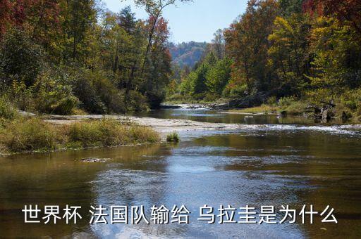 世界杯 法國隊輸給 烏拉圭是為什么