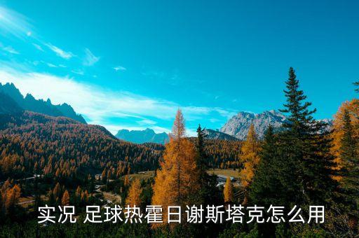  實況 足球熱霍日謝斯塔克怎么用
