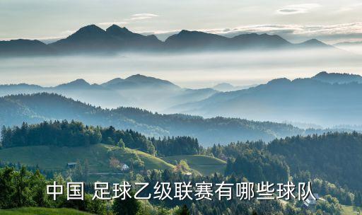 中國 足球乙級(jí)聯(lián)賽有哪些球隊(duì)