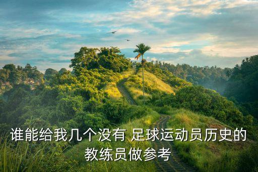 切爾西前足球總監(jiān),關(guān)于切爾西的足球小說