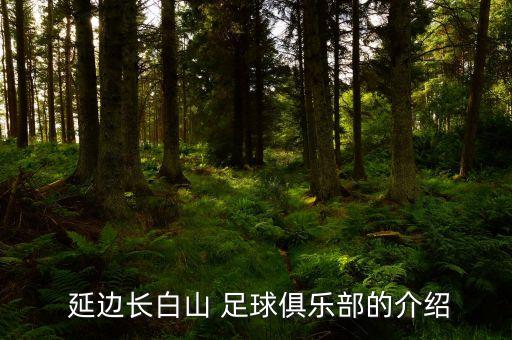 延邊州高中足球,高中足球特長(zhǎng)生的去向