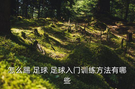 怎么踢 足球 足球入門訓(xùn)練方法有哪些