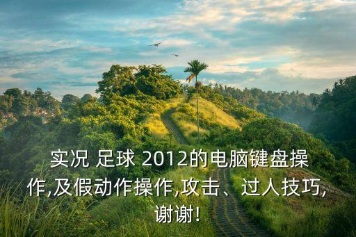  實(shí)況 足球 2012的電腦鍵盤(pán)操作,及假動(dòng)作操作,攻擊、過(guò)人技巧,謝謝!