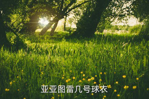 亞亞圖雷幾號(hào)球衣