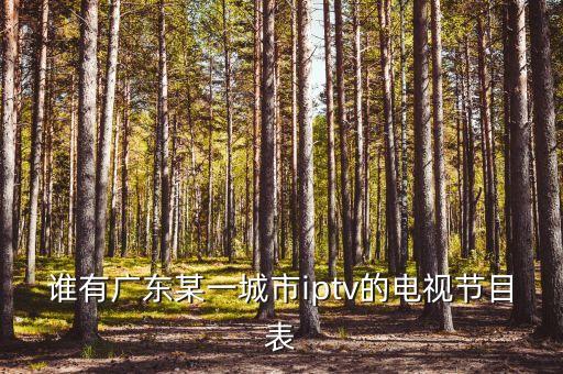 誰(shuí)有廣東某一城市iptv的電視節(jié)目表