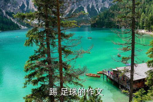 中國(guó)足球你爺爺回來了