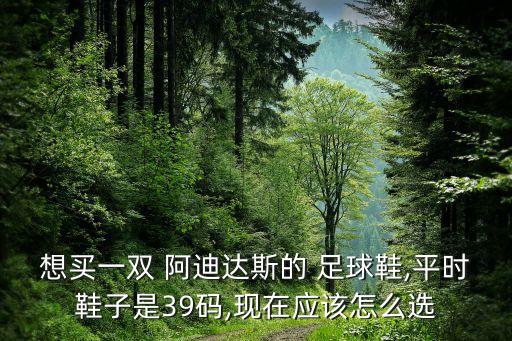 想買一雙 阿迪達(dá)斯的 足球鞋,平時(shí)鞋子是39碼,現(xiàn)在應(yīng)該怎么選