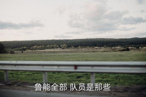 魯能全部 隊員是那些