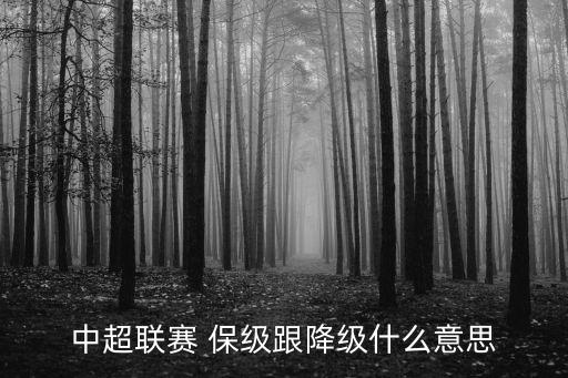 中超聯(lián)賽 保級(jí)跟降級(jí)什么意思
