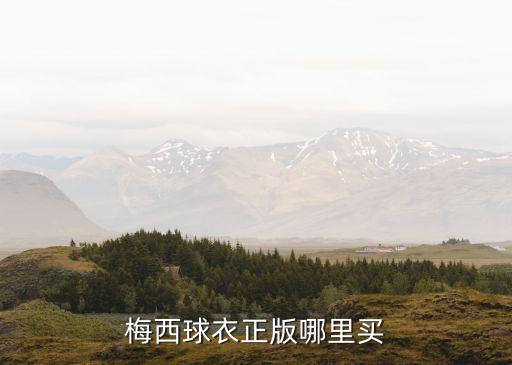 梅西球衣正版哪里買(mǎi)
