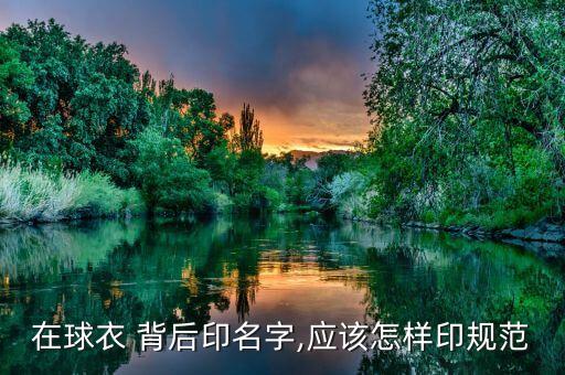 足球隊服背后印號