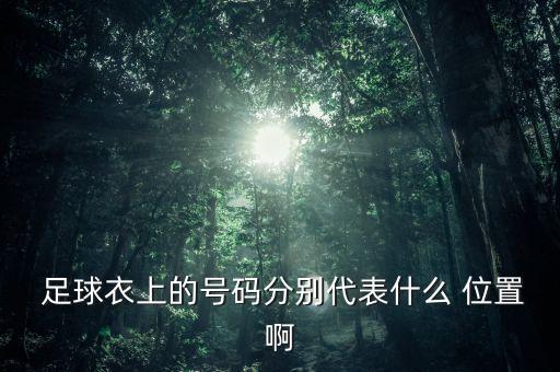  足球衣上的號碼分別代表什么 位置啊