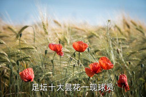 俄羅斯足球運(yùn)動員左,Danilova(俄羅斯足球運(yùn)動員)
