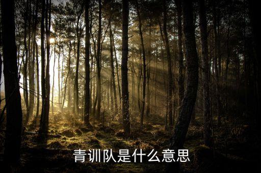  青訓隊是什么意思