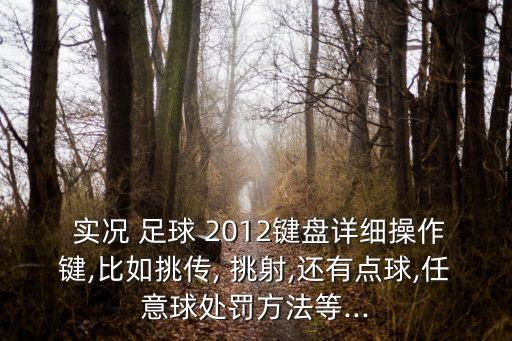 實況足球2012挑射技巧