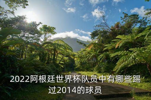 2022阿根廷世界杯隊(duì)員中有哪些踢過(guò)2014的球員