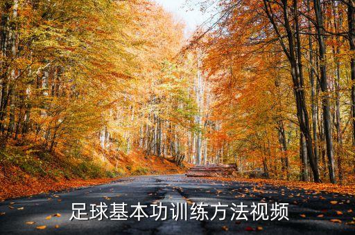  足球基本功訓練方法視頻