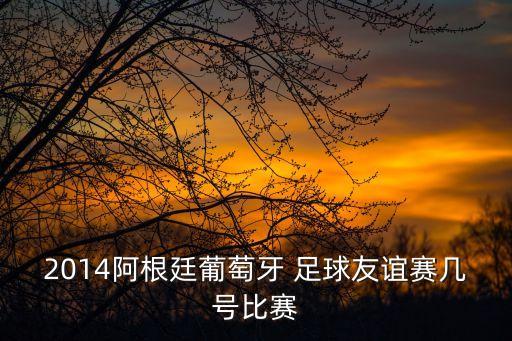 2014阿根廷葡萄牙 足球友誼賽幾號(hào)比賽