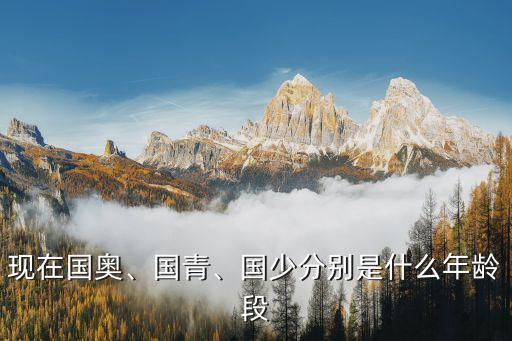 現(xiàn)在國奧、國青、國少分別是什么年齡段