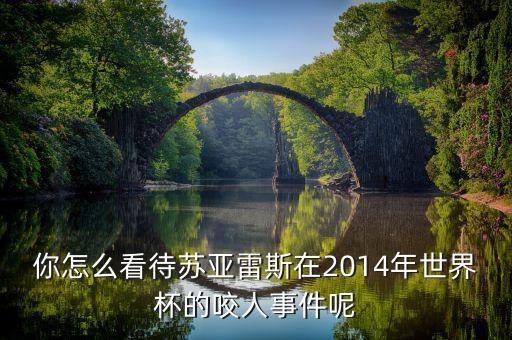 足球運(yùn)動(dòng)員愛(ài)咬人的是誰(shuí)