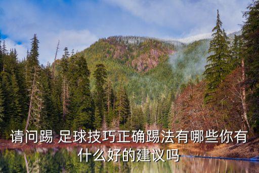 足球運動員踢足球
