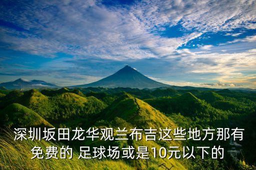  深圳坂田龍華觀蘭布吉這些地方那有免費(fèi)的 足球場或是10元以下的